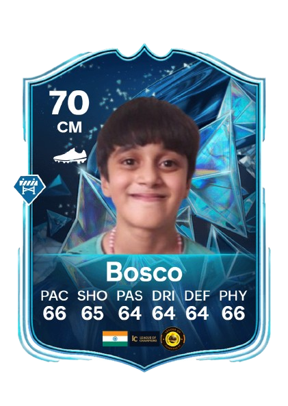 FIFA Card